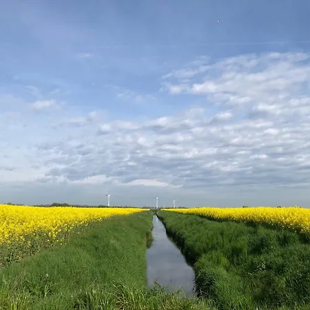 Tief 12 Kleiner Leuchtturm 72 Mit Internet 72 Schillig