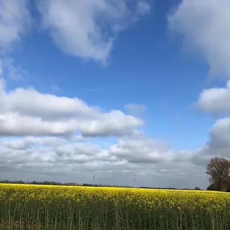 Tief 12 Kleiner Leuchtturm 72 Mit Internet 72 Schillig
