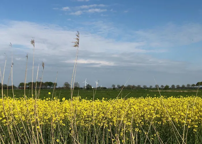 Tief 12 Kleiner Leuchtturm 72 Mit Internet 72 Daire *