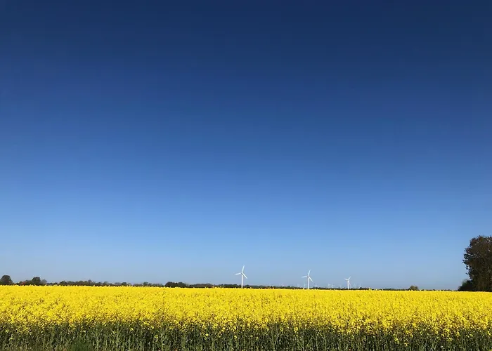 Tief 12 Kleiner Leuchtturm 72 Mit Internet 72